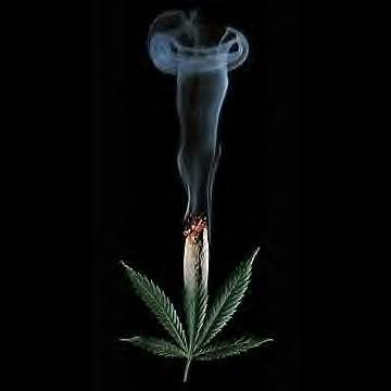 Draw Weed