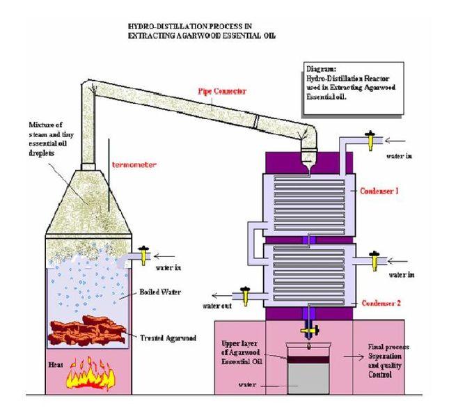 Oud Attar Wiki