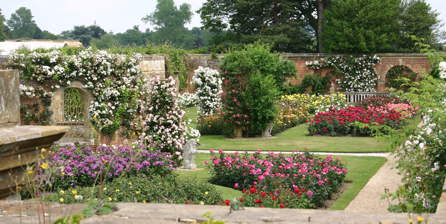 The Scent Trail Of Anne Boleyn From Hever Castle To Tower Hever Castle Gardens