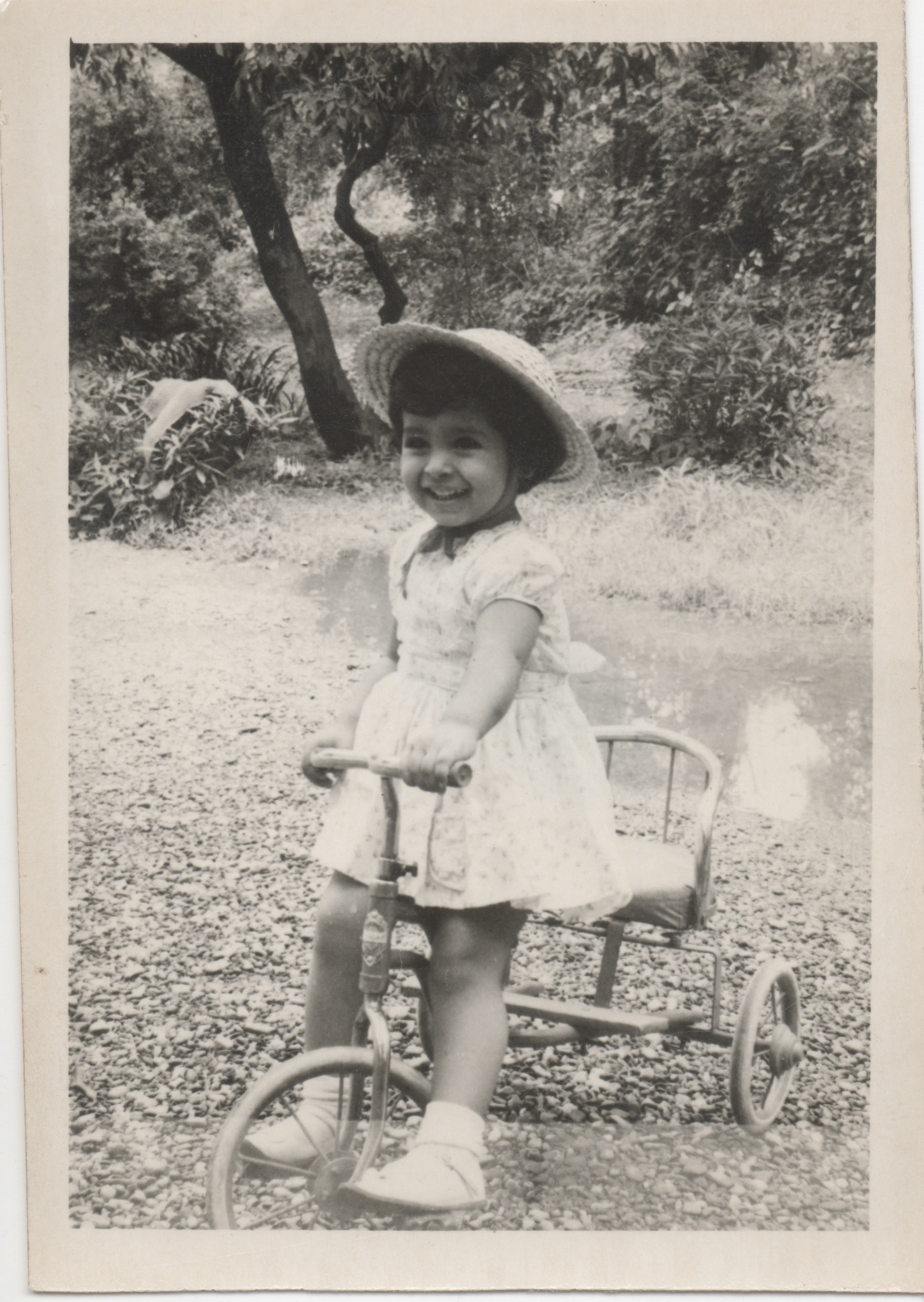 Elsa Martinelli (born 1932 or 1935, depending on different sources),Karylle (b.1981) Erotic movies Laura Moss,Kim Darby Margaret Christensen Porn images Sylvia La Torre (b. 1933),Tyler Johnston