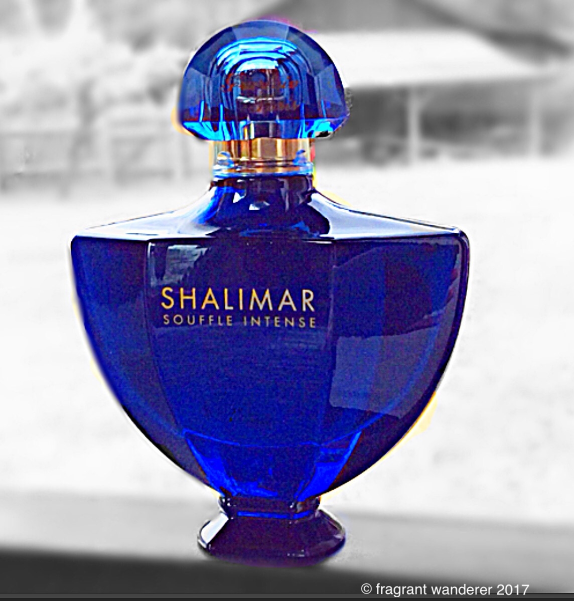 Image result for shalimar bottles