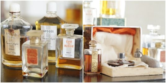 Editions de Parfums Dans Tes Bras (2008): Futuristic-Nostalgic Violets { Perfume Review & Musings} {Violet Notebook} - The Scented Salamander: Perfume & Beauty Blog & Webzine