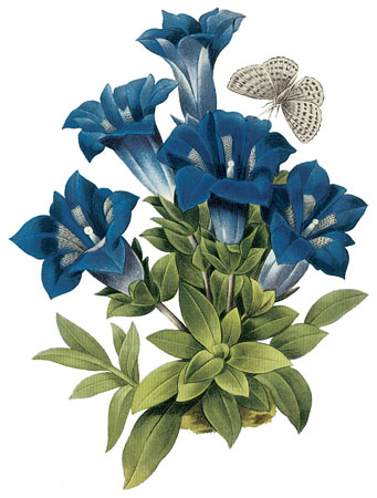 geoffrey beene blue sapphire