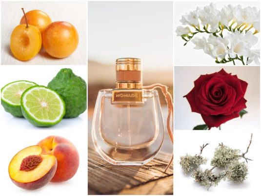 review parfum love in motion