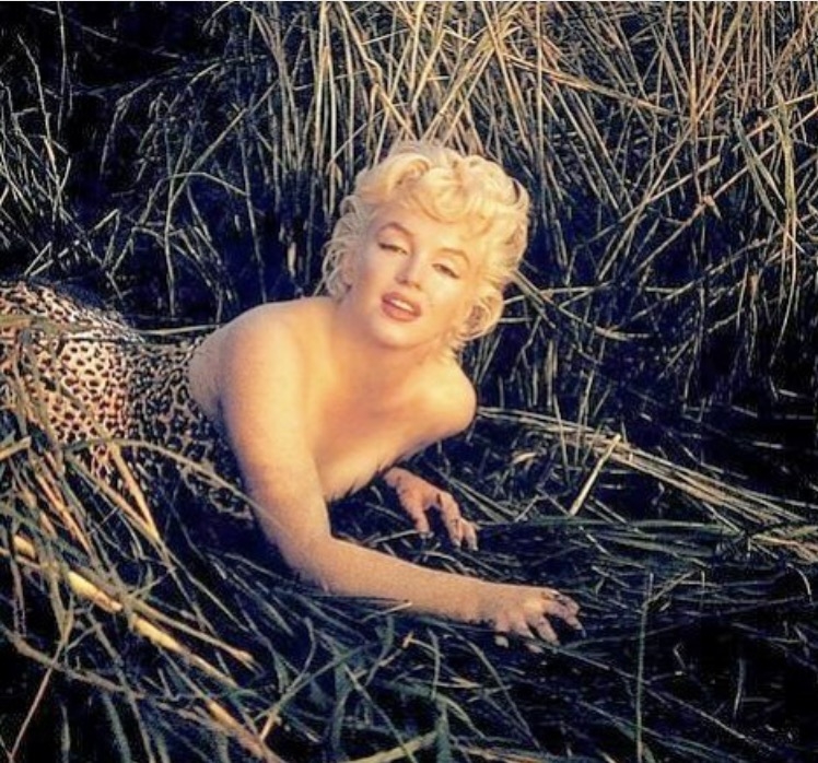 Eve Arnolds 1955 Photo Of Marilyn >> Marilyn Monroe Leopard Eve Arnold 1955 Cafleurebon Perfume Blog Eve Arnolds 1955 Photo Of Marilyn >> Marilyn Monroe Leopard Eve Arnold 1955 Cafleurebon Perfume Blog