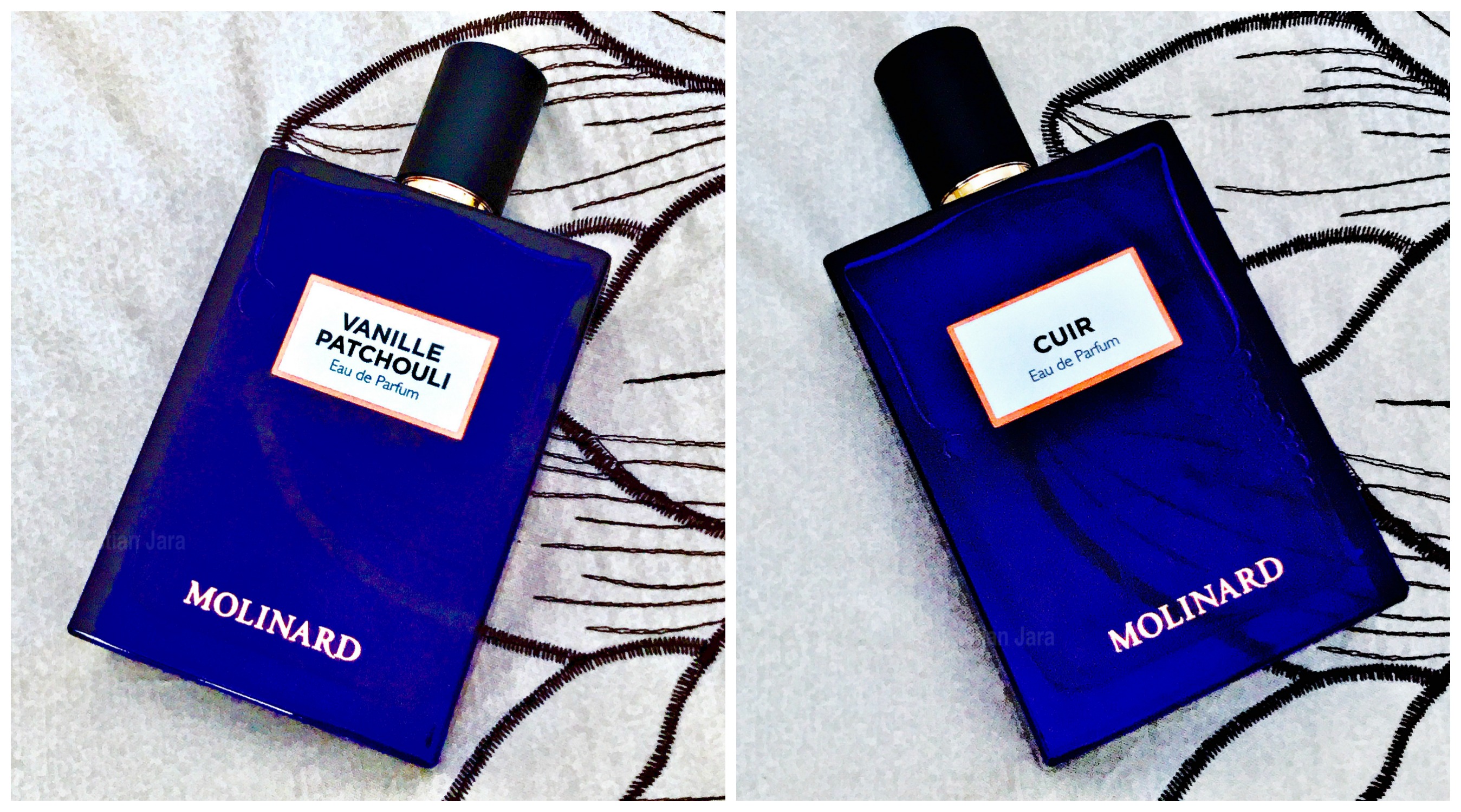patchouli vanille molinard